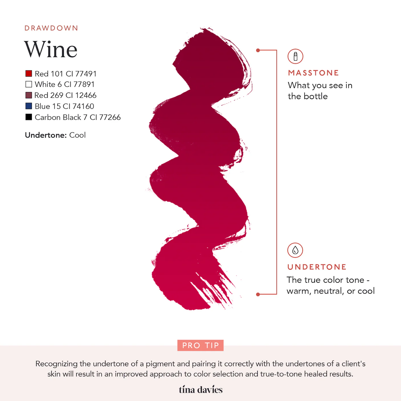 Envy Lip Pigments -Wine - Image 4