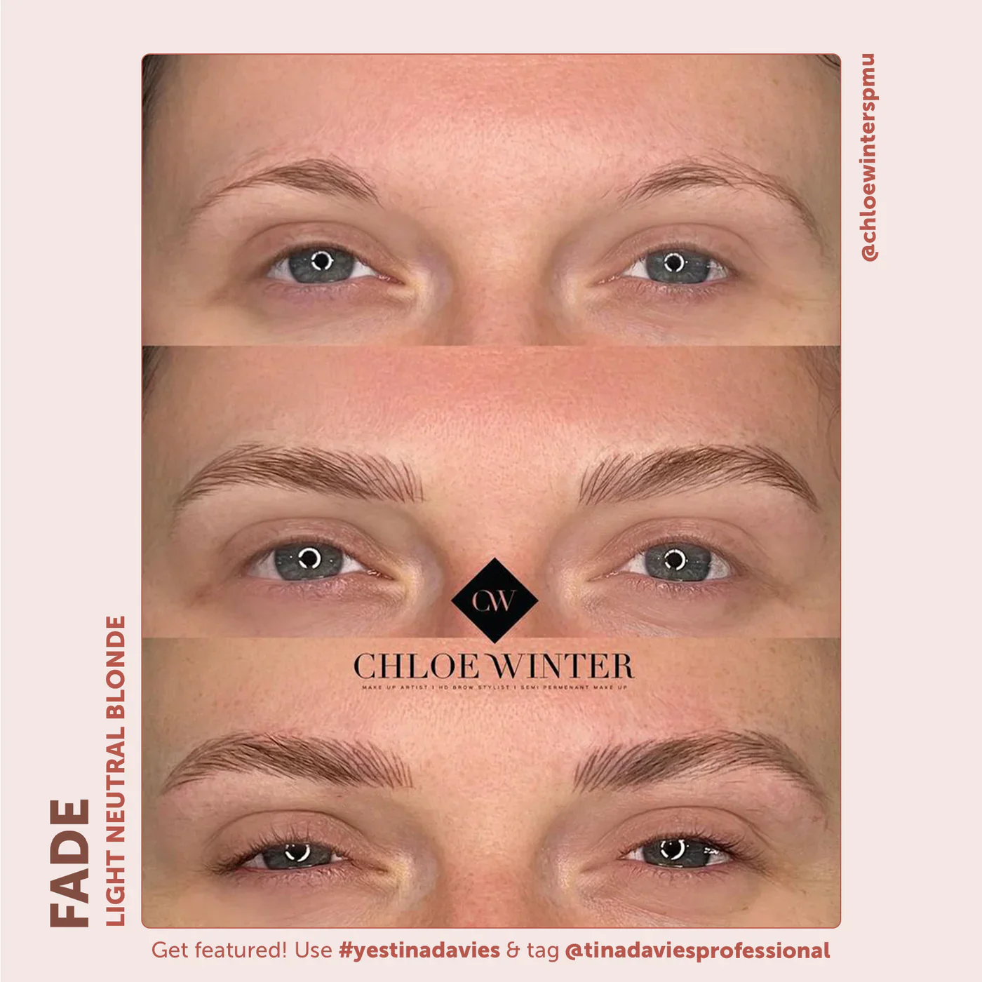 FADE Eyebrow Pigments - FADE LIGHT NEUTRAL BLONDE - Image 5