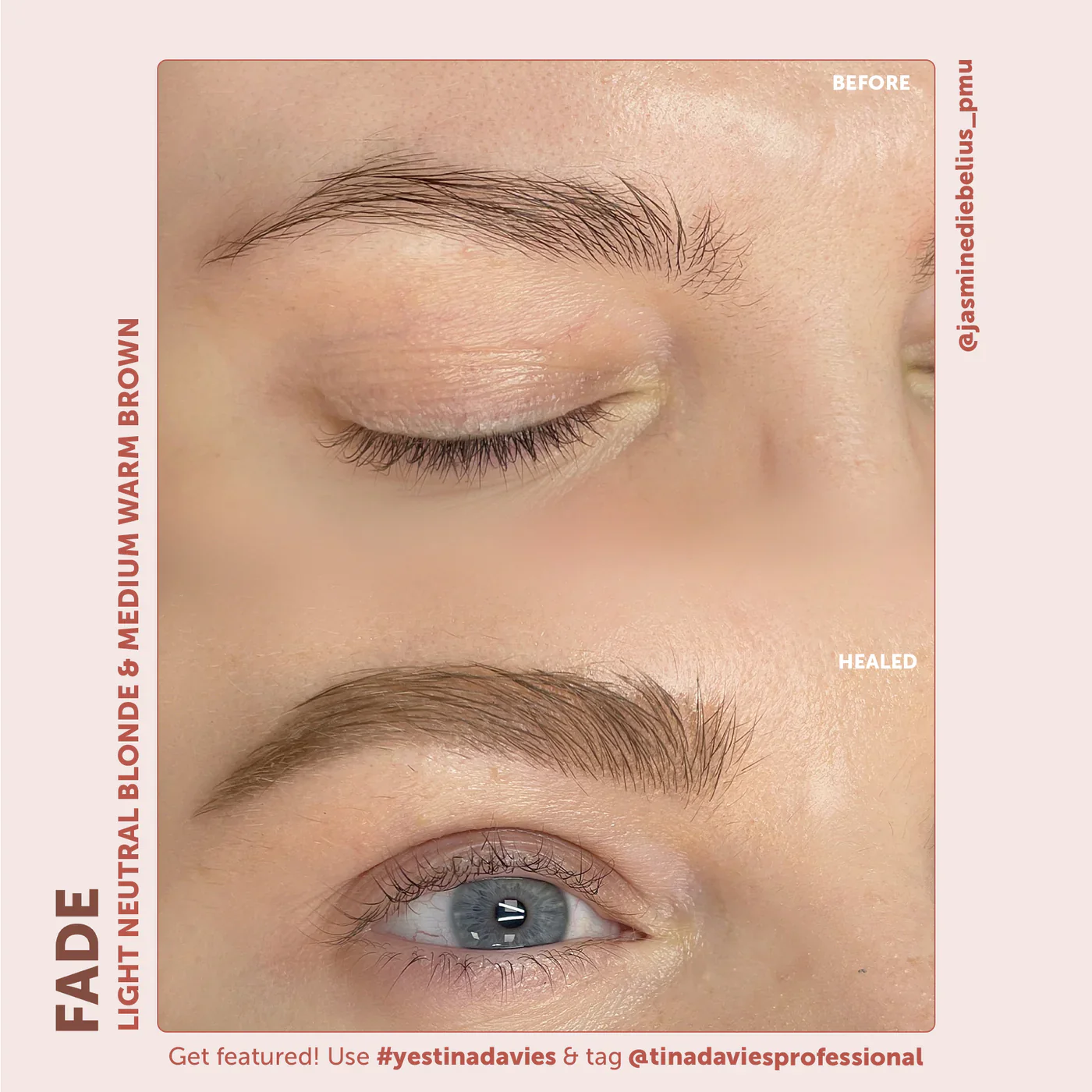 FADE Eyebrow Pigments - FADE LIGHT NEUTRAL BLONDE - Image 6